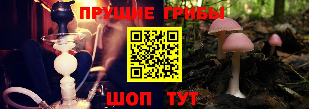 Псилоцибиновые грибы мицелий Назрань